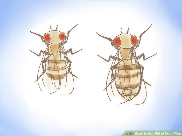 Step 18