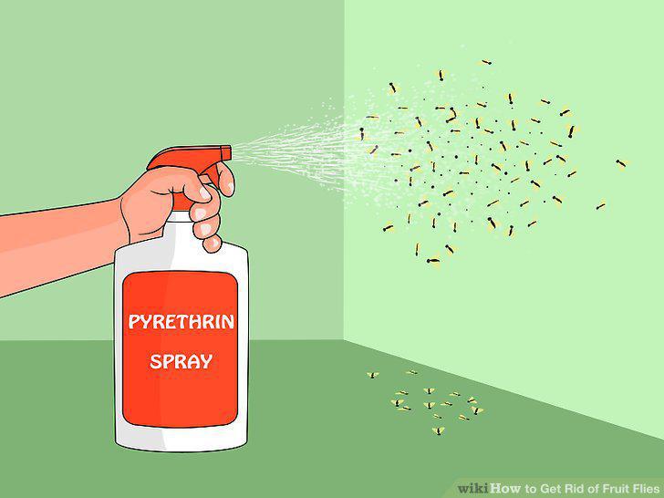 Step 20