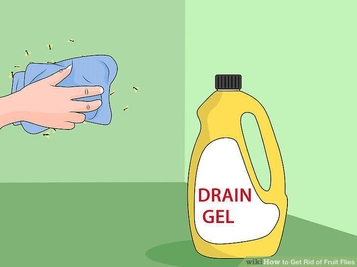 Step 21