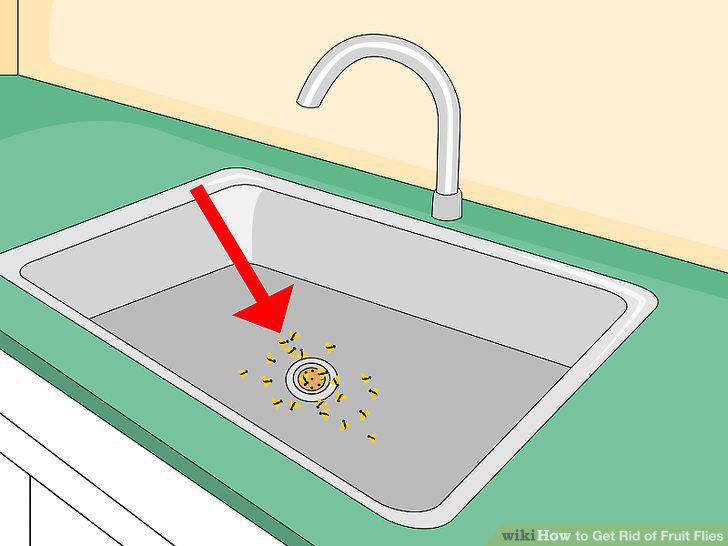 Step 23