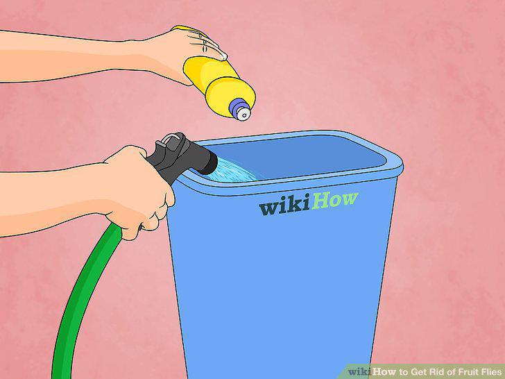 Step 25