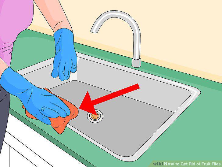 Step 26