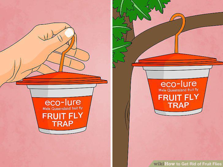 Step 32
