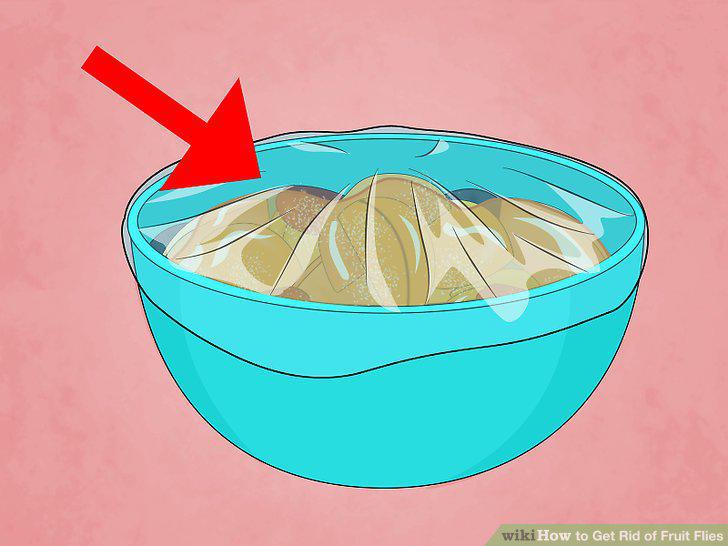 Step 9