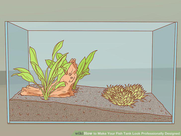 Step 11