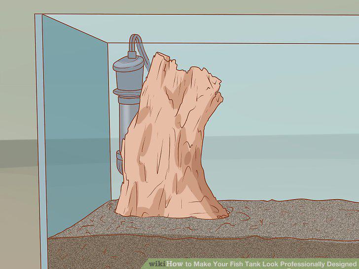 Step 12