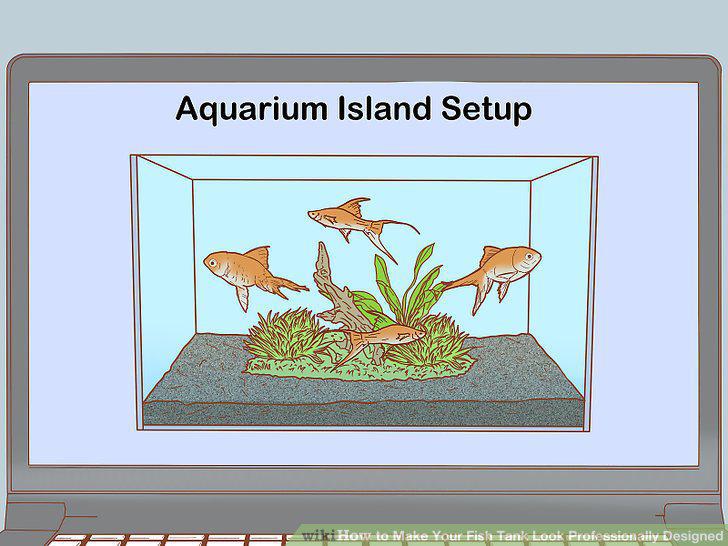 Step 13