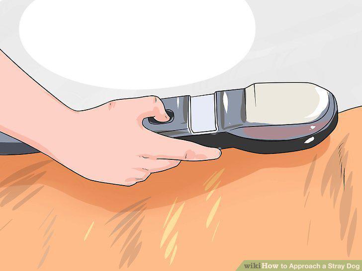 Step 11