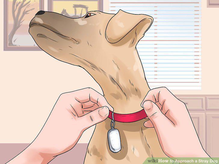 Step 10