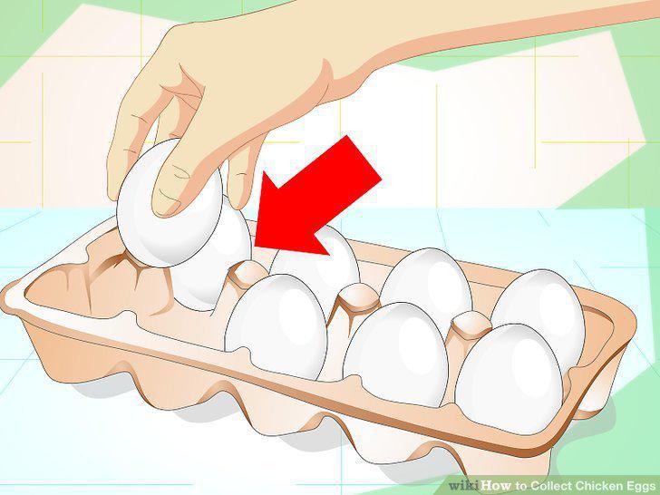 Step 11