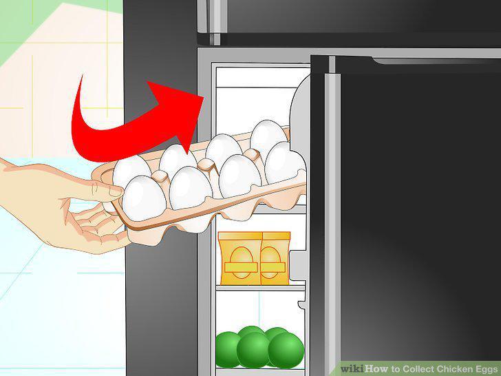 Step 12