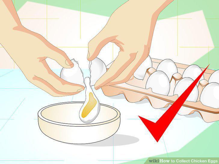 Step 13