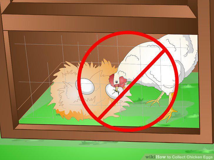 Step 4