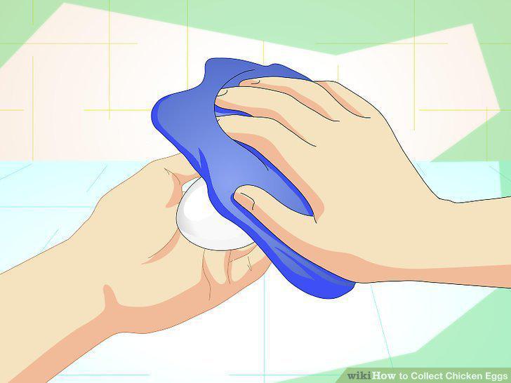 Step 8
