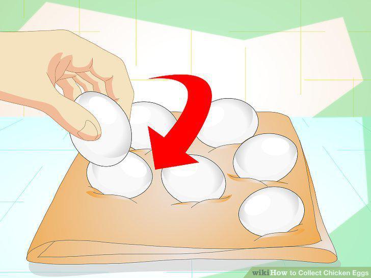 Step 9