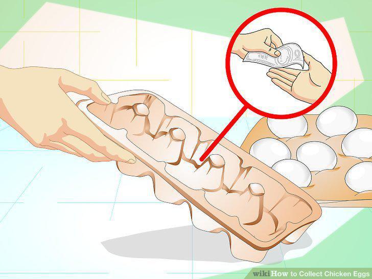 Step 10