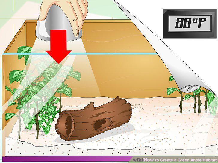 Step 5