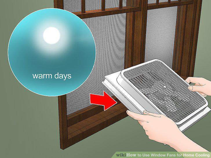 Step 11