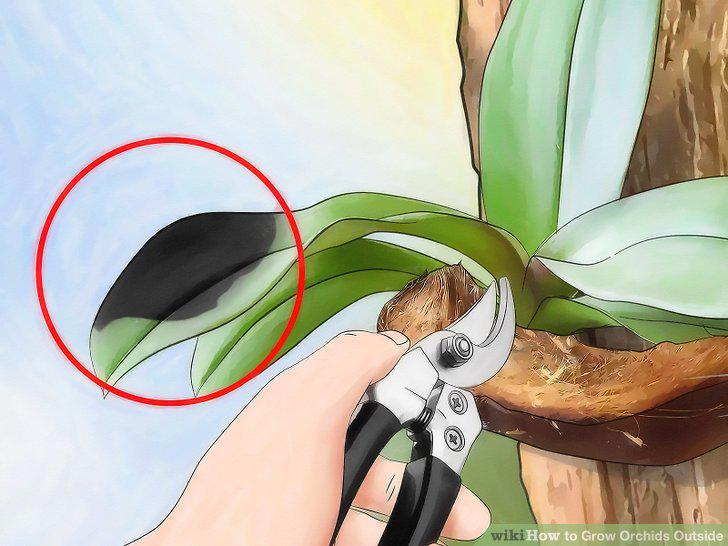 Step 11