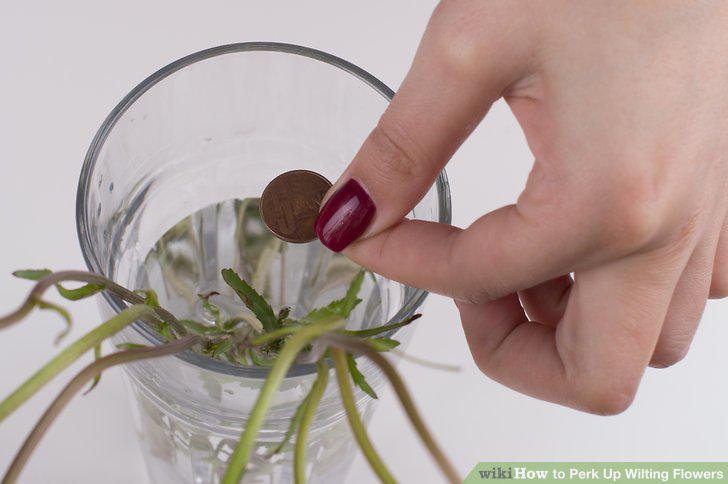Step 11