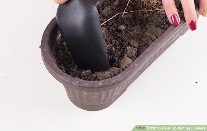 Step 15