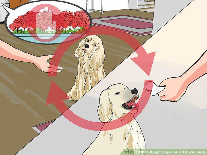 Step 11