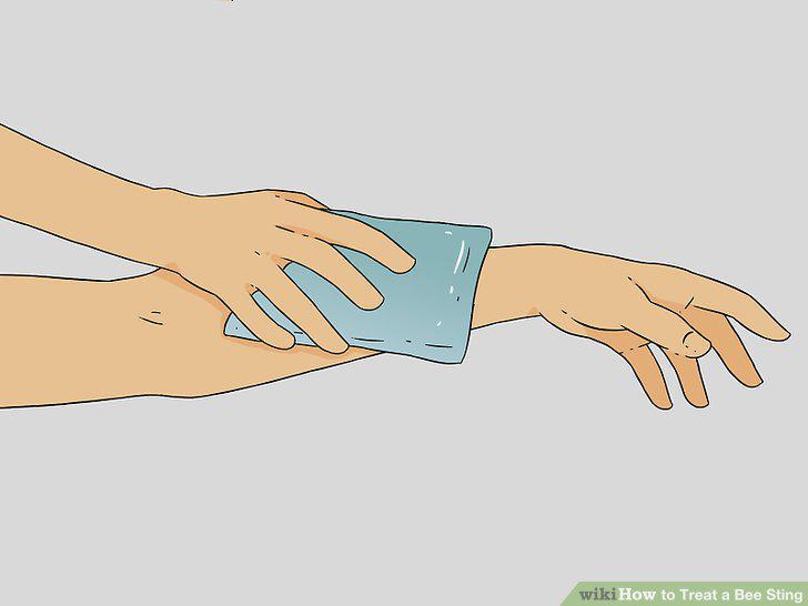 Step 5
