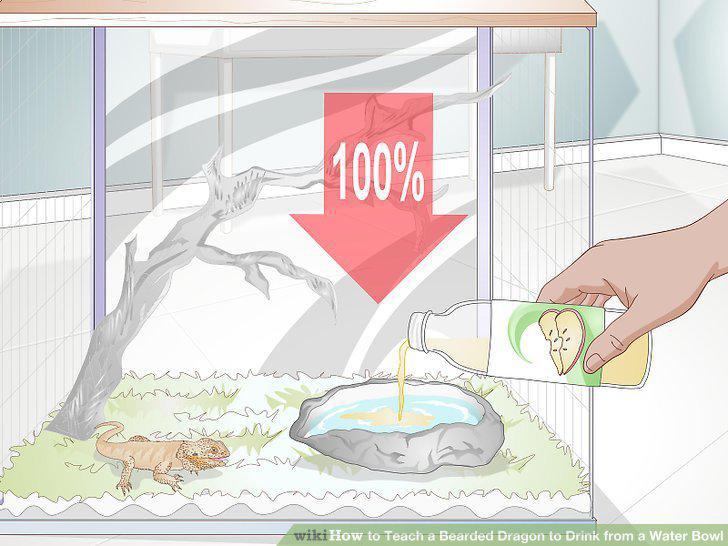 Step 2