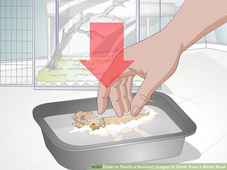 Step 11