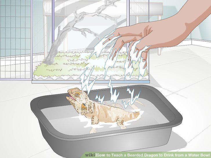 Step 12