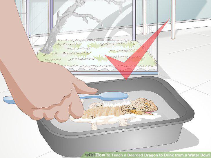 Step 13