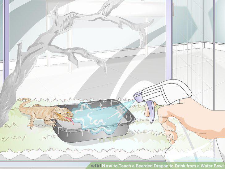 Step 8
