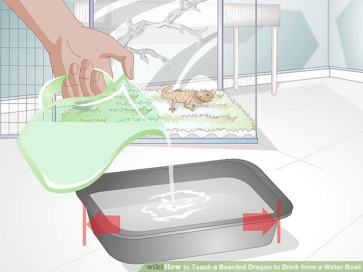 Step 9