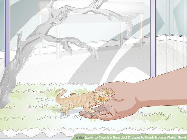 Step 10