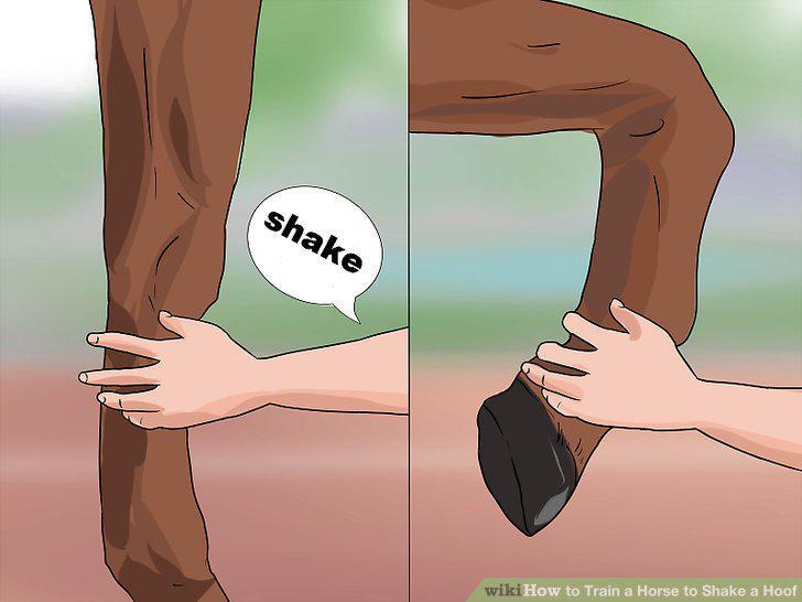 Step 11