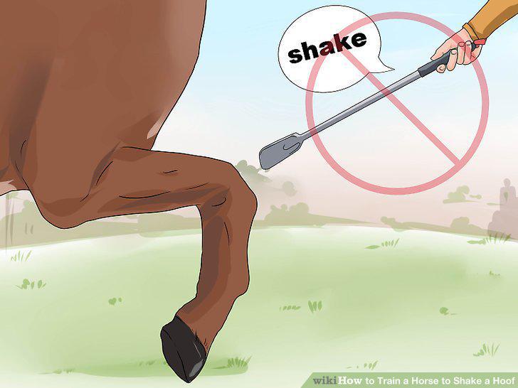 Step 12
