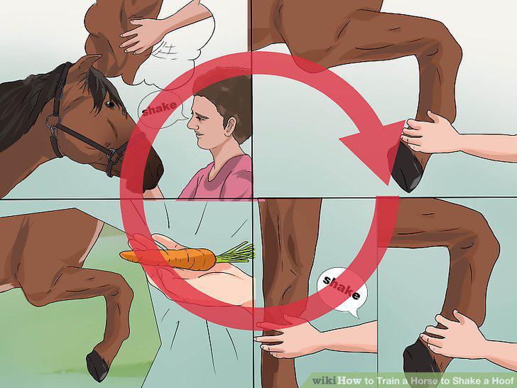Step 13