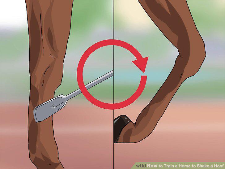 Step 6