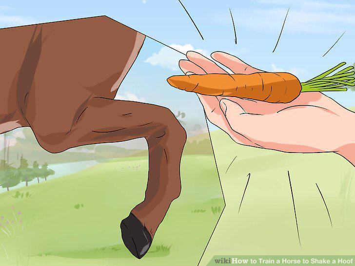 Step 10