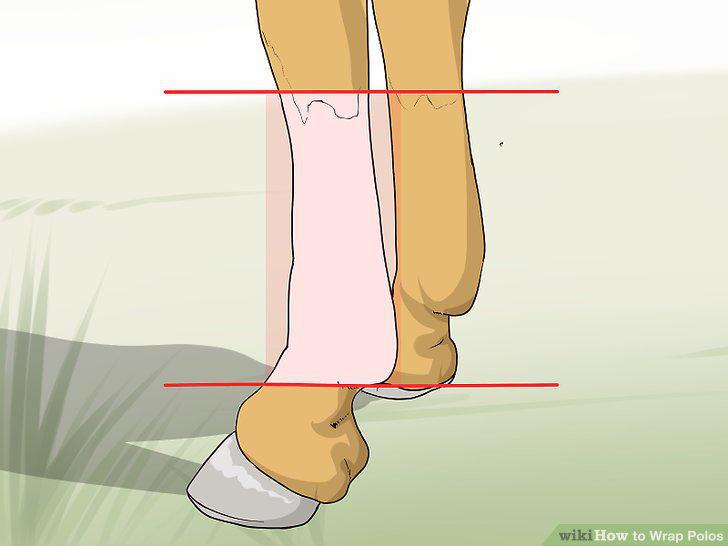 Step 2