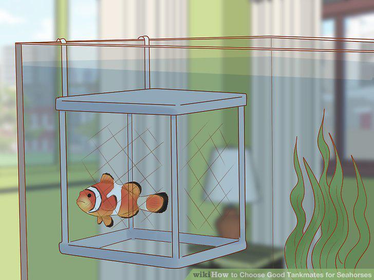Step 11