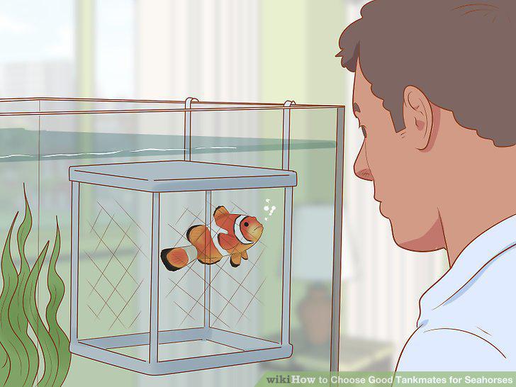 Step 12