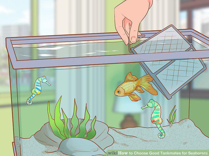 Step 13