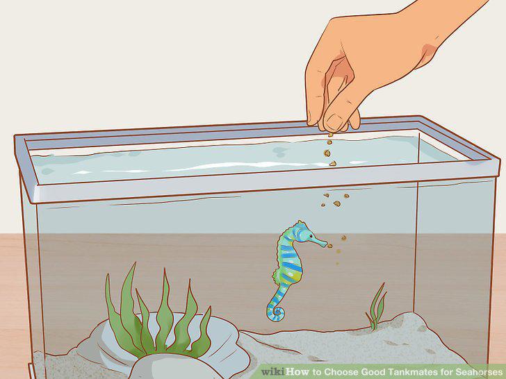 Step 5