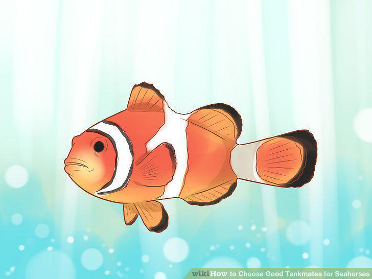 Step 7