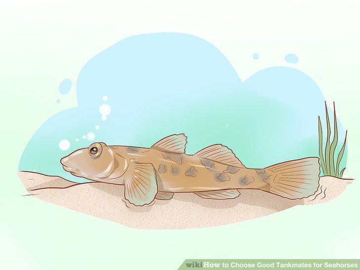 Step 8