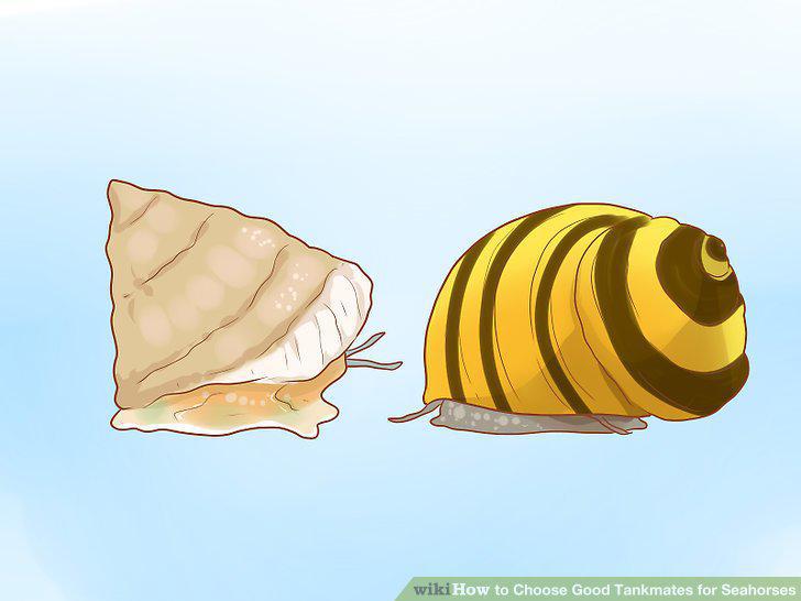 Step 9