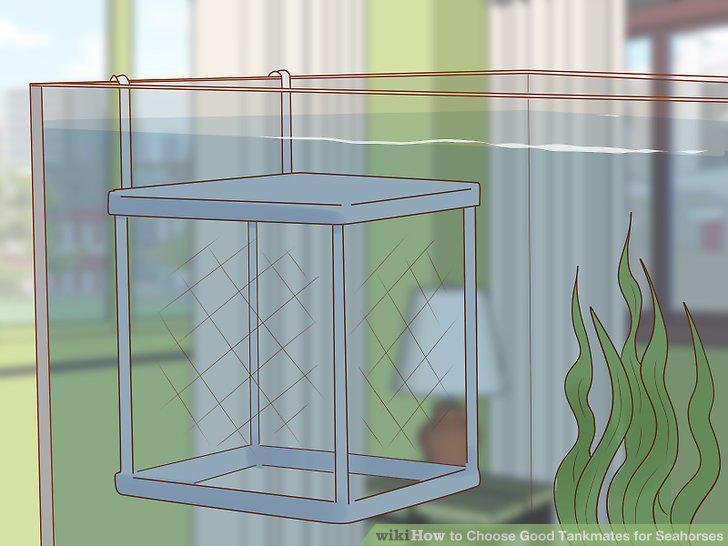 Step 10