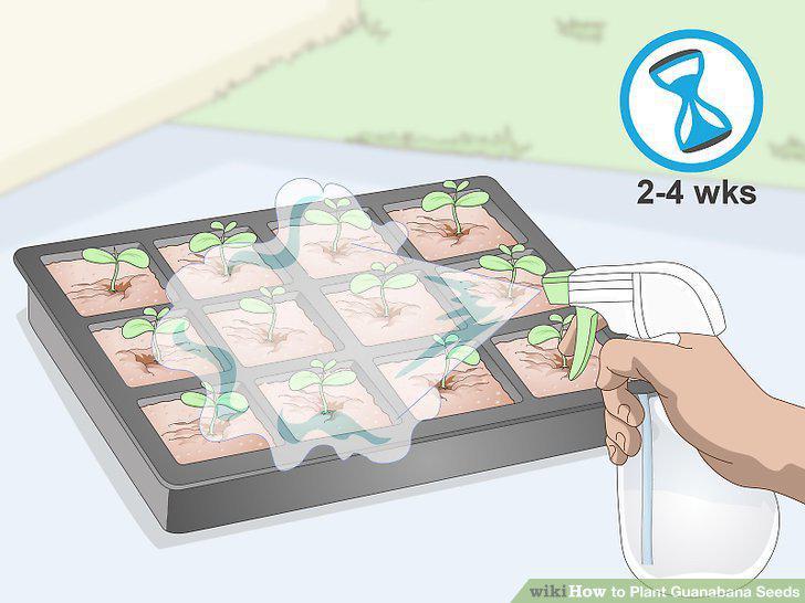 Step 11