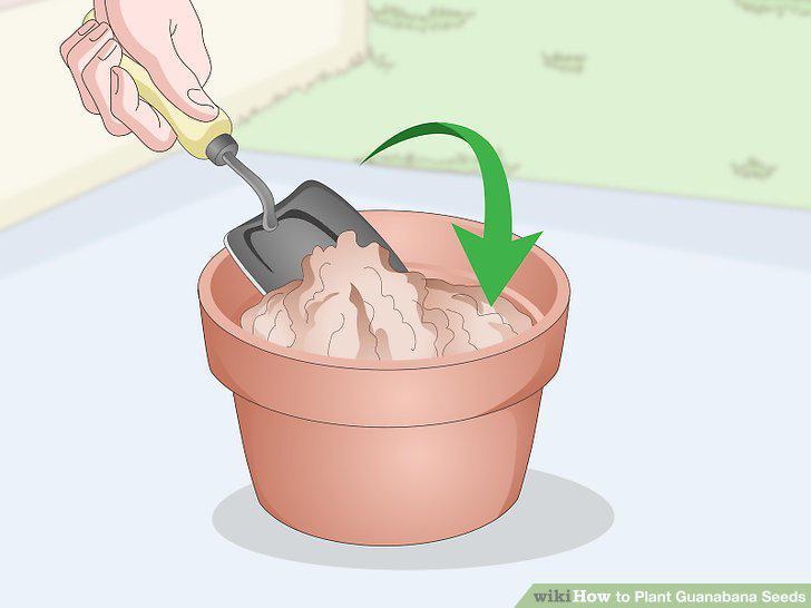 Step 12